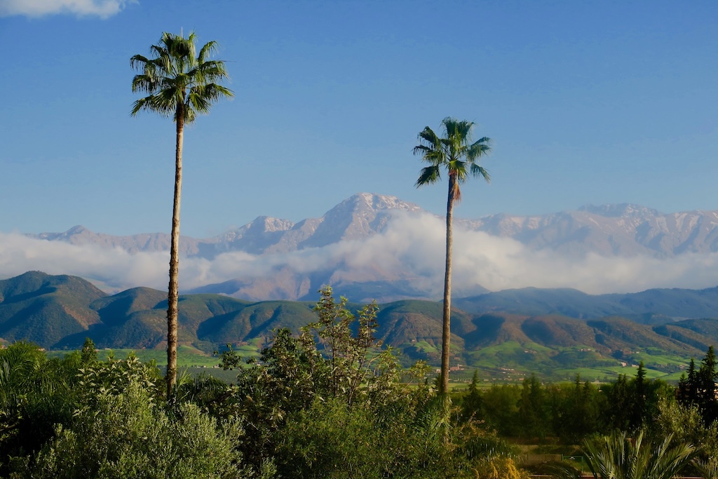 atlas mountains as seen from the anima park with two palm trees