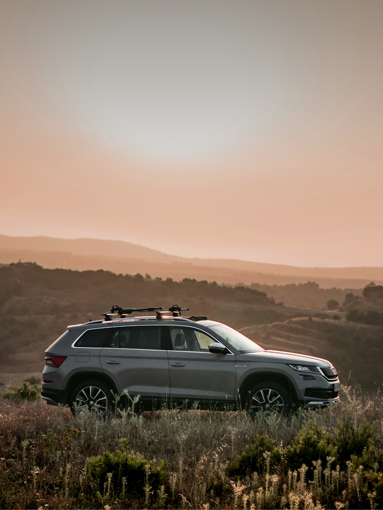 skoda in a field