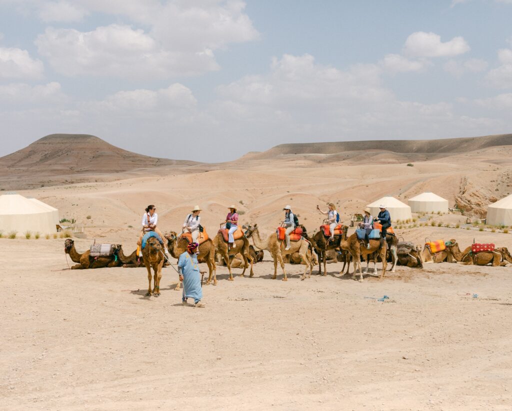 line of camels in the desert being guided by a man